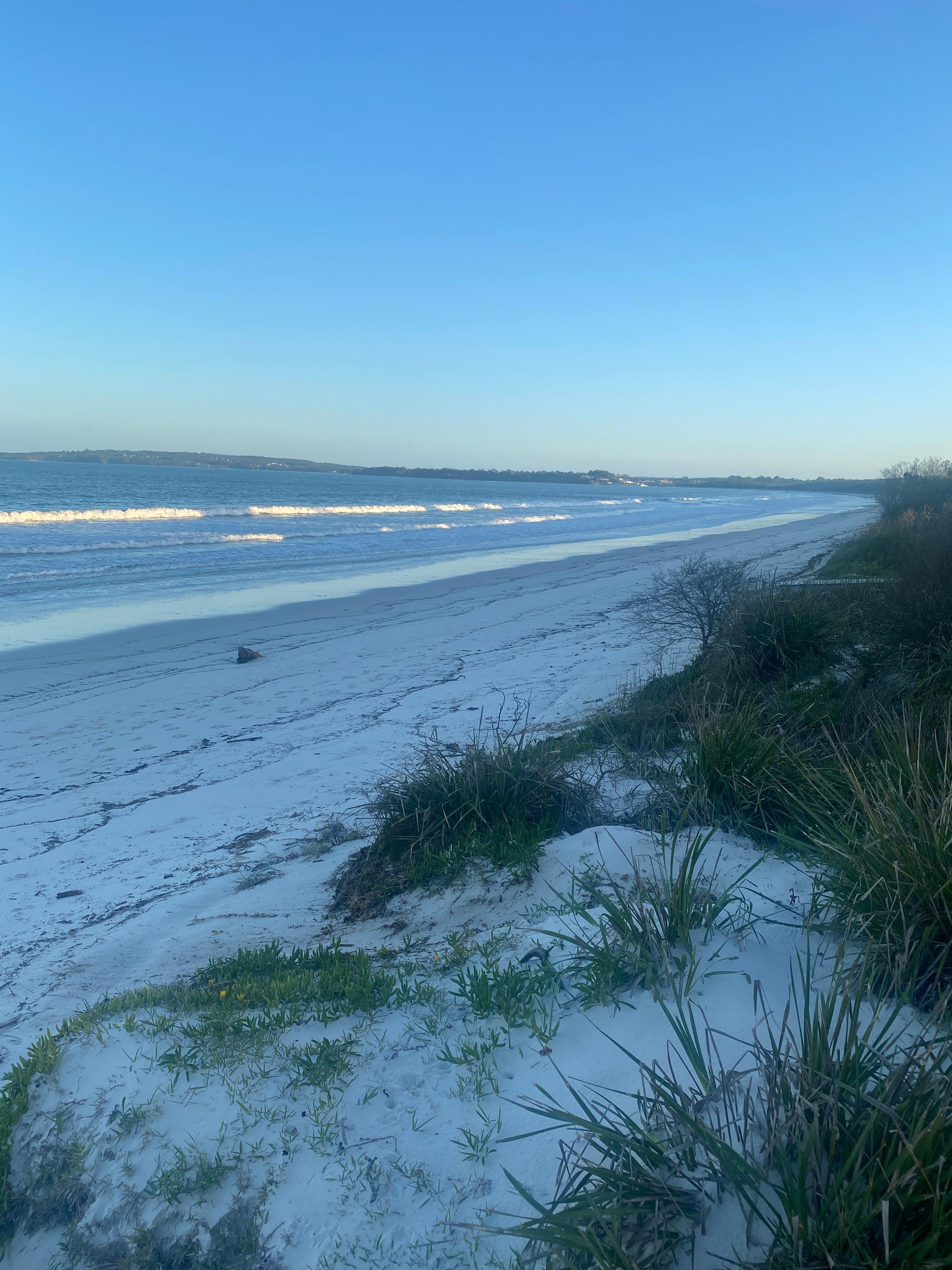 View from the backyard