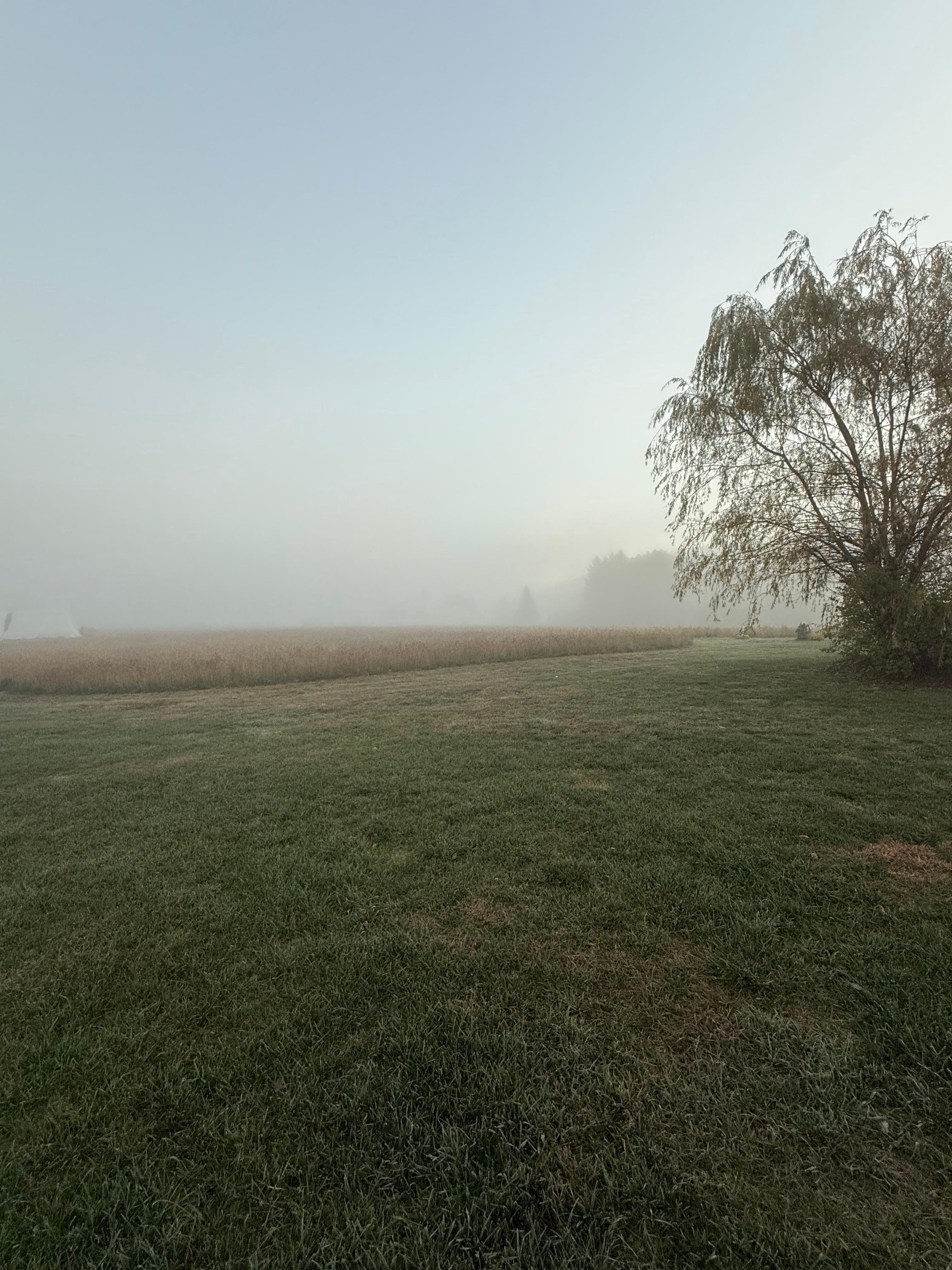 Another view of property 