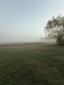 Another view of property