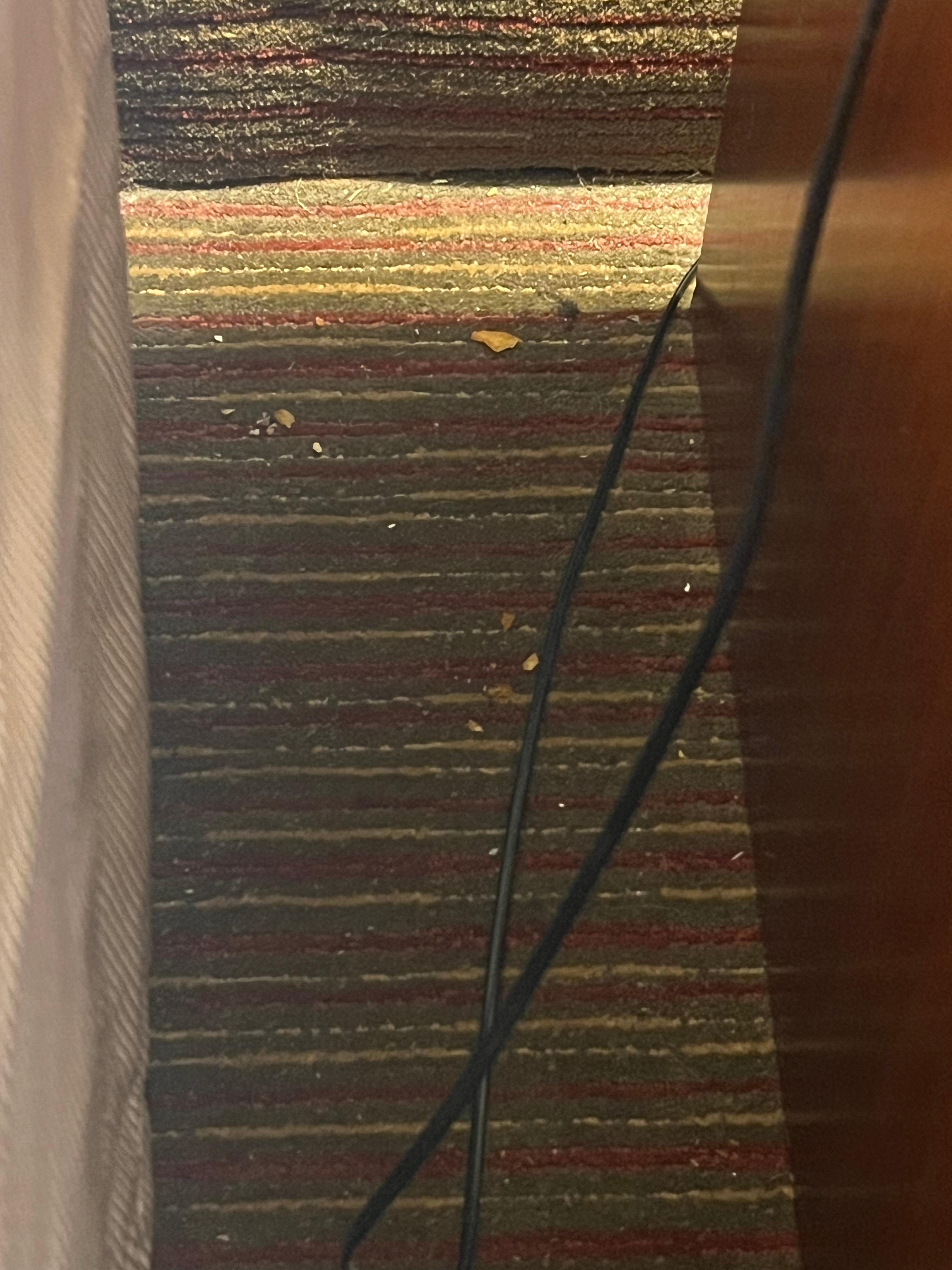 Next to the bed someone’s food was keeping the rug company