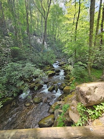 Stream by the Cabin
