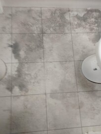 Mould UNDER the Vynol flooring as not sealed with silicon round the shower