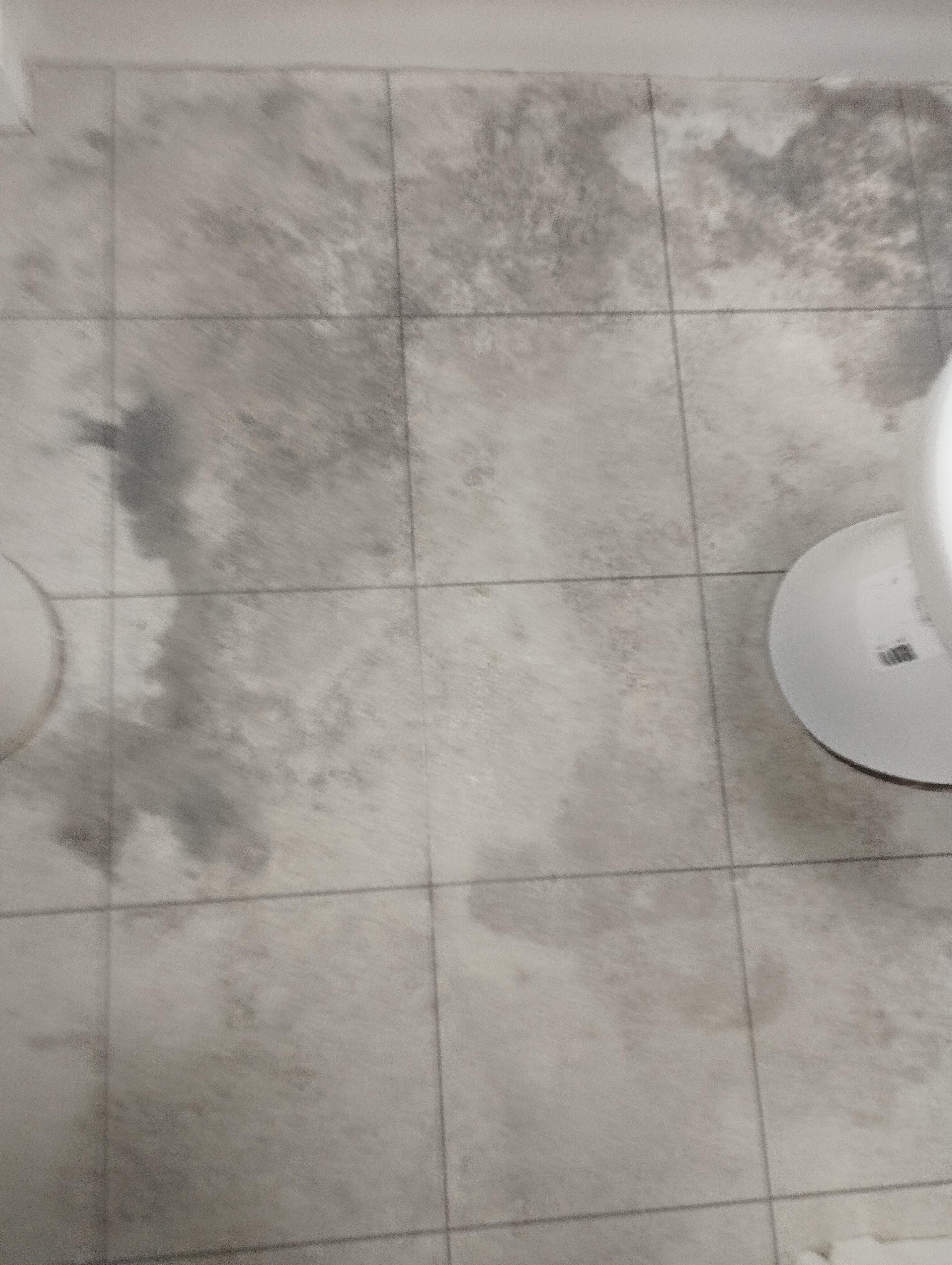 Mould UNDER the Vynol flooring as not sealed with silicon round the shower
