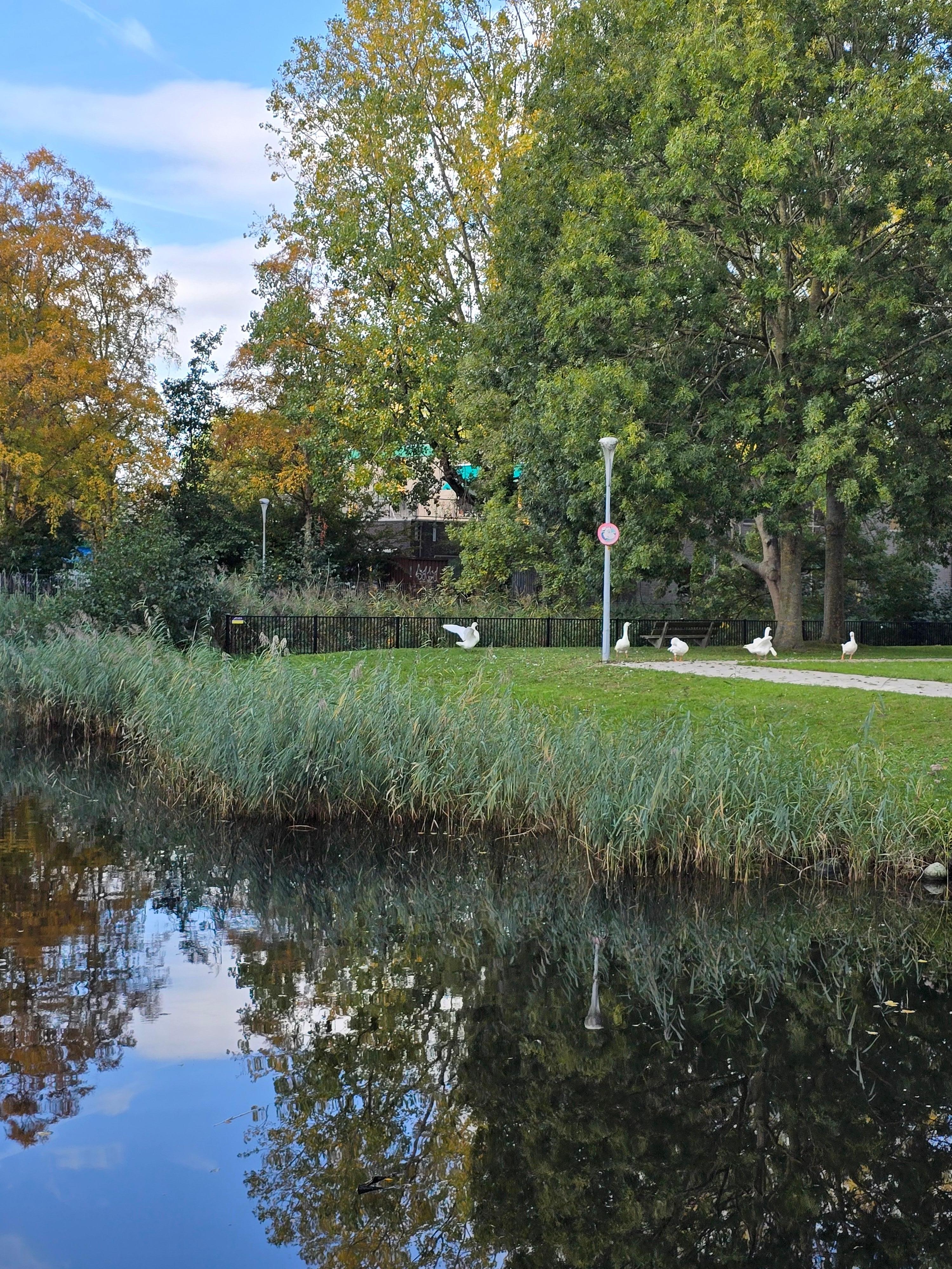 Nearby canal in the park