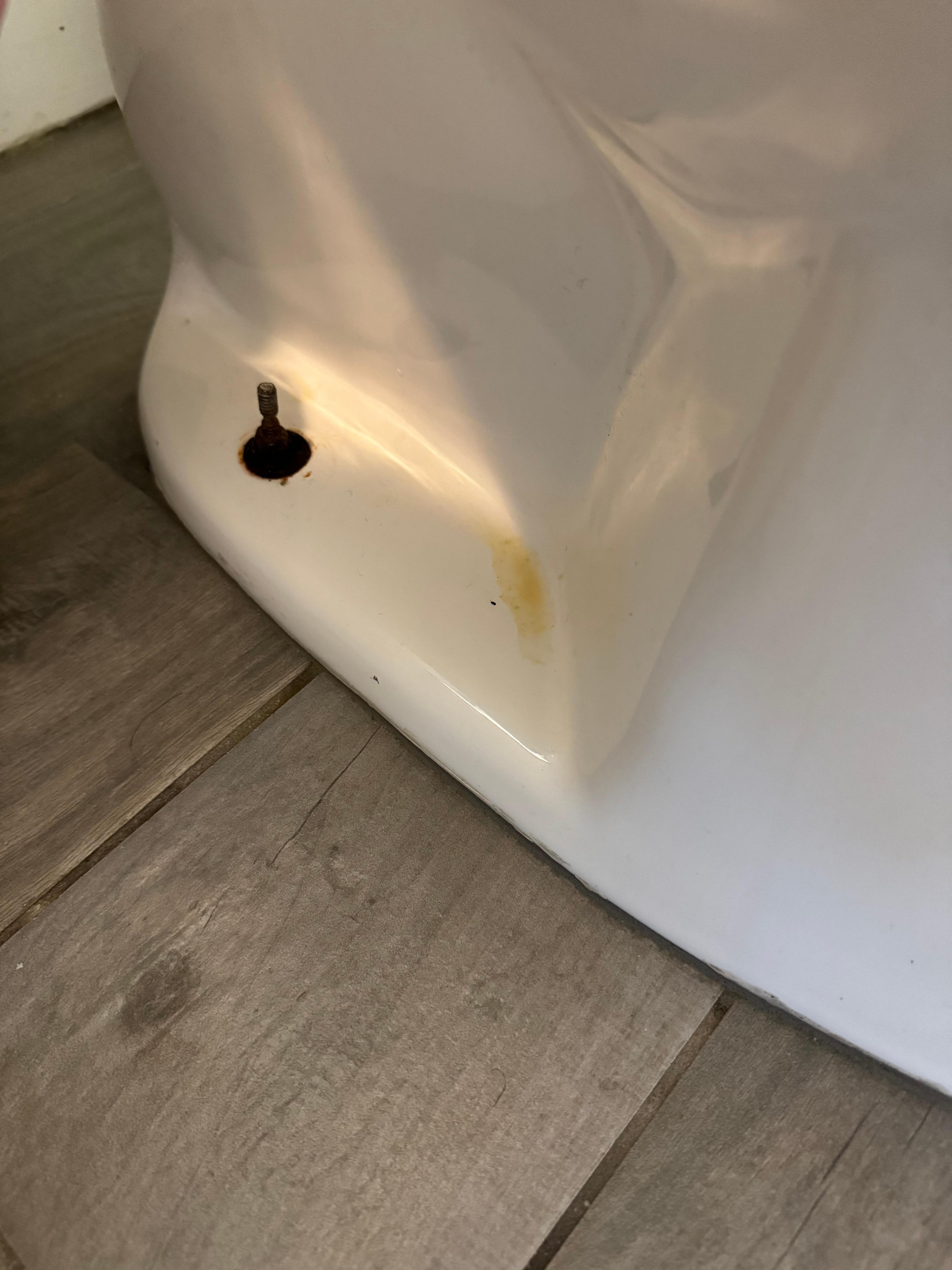 Old urine on toilet. Missed during cleaning. Not ok. 