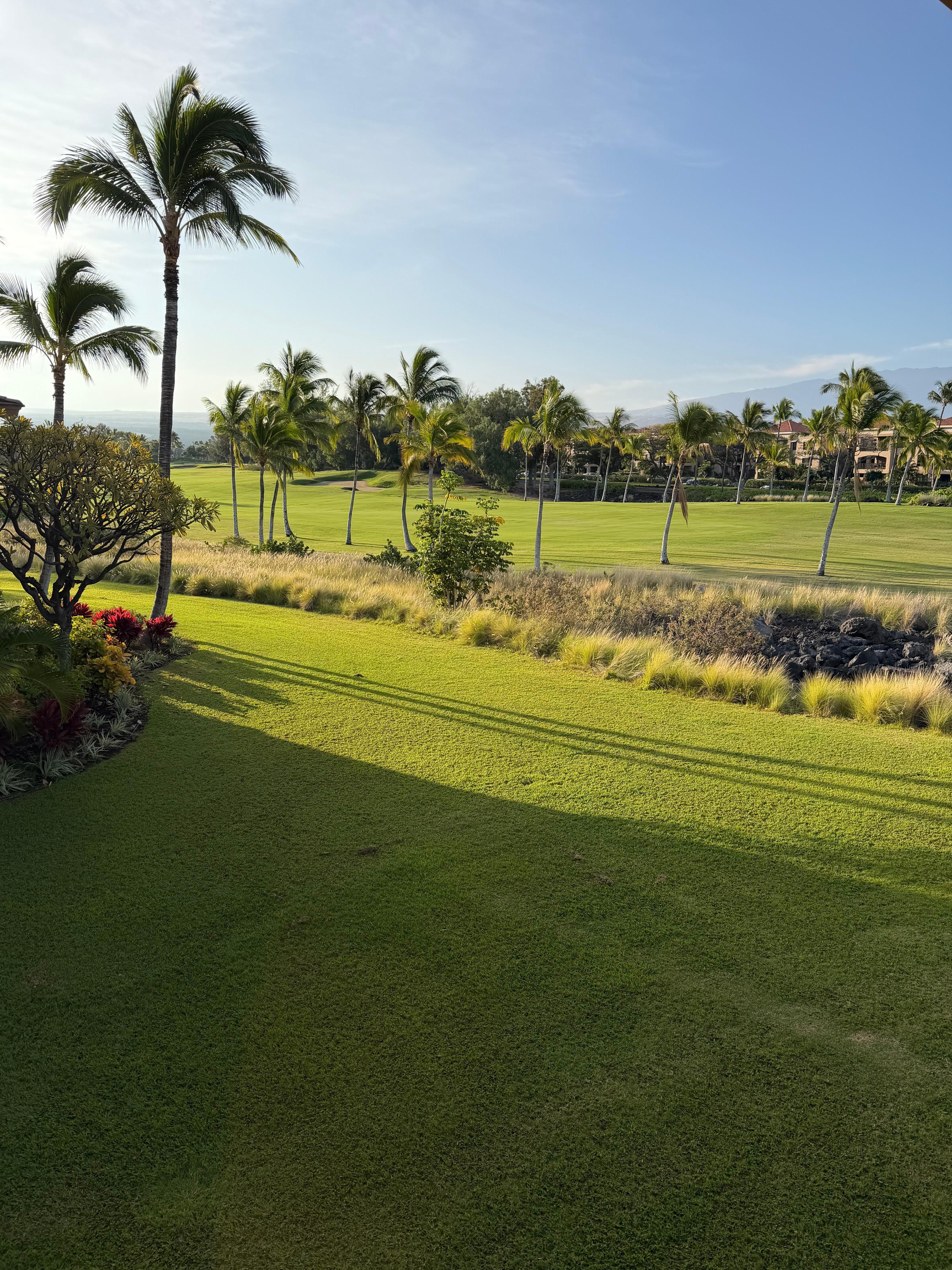 Looking out the patio door. 