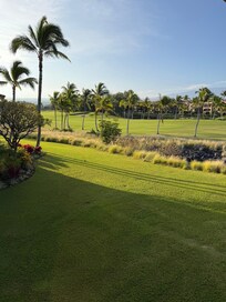 Looking out the patio door.