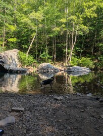 Swimming hole, about a à minute walk down the path