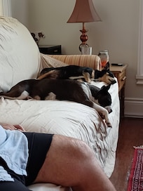 Very relaxed