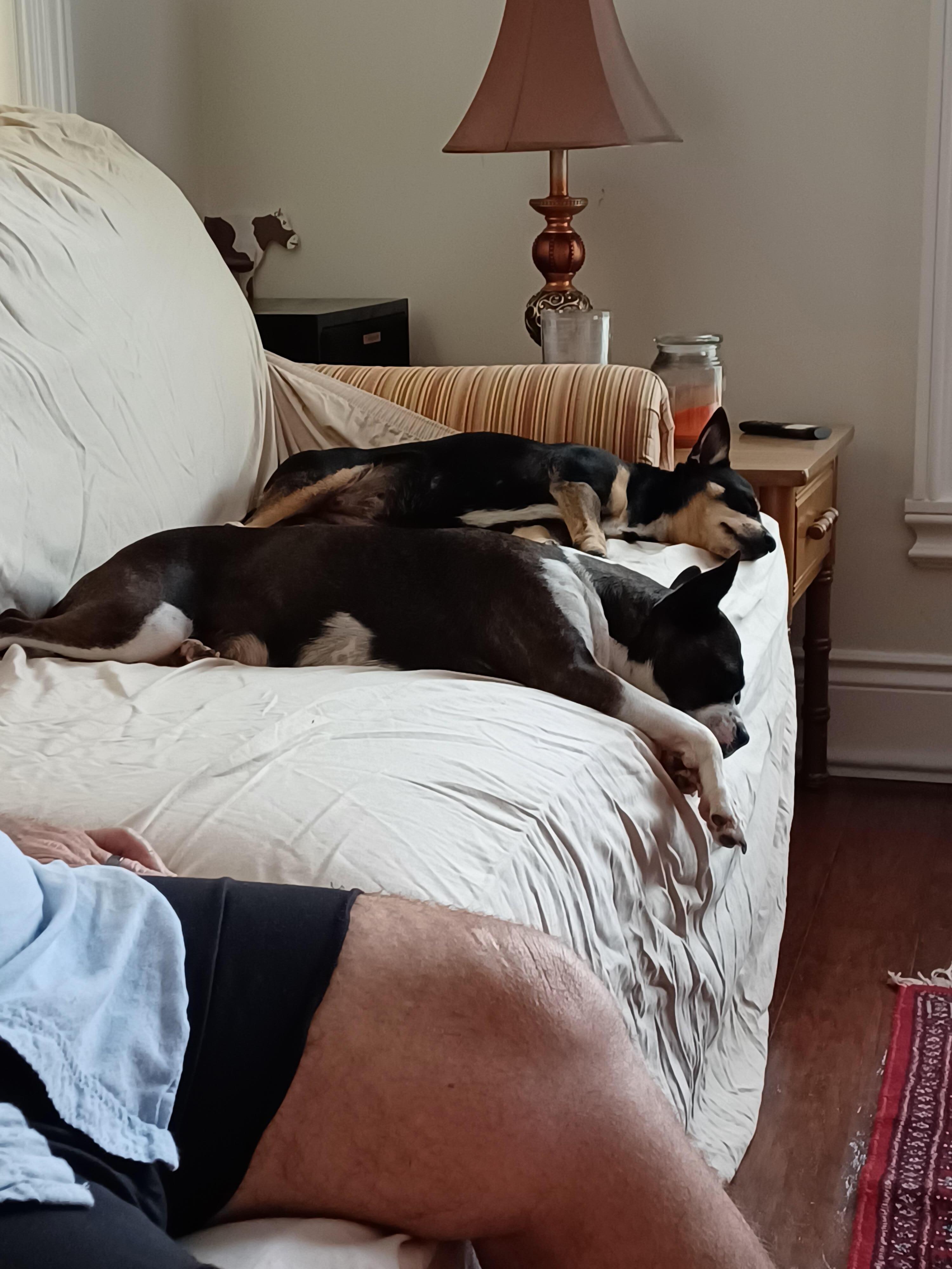 Very relaxed