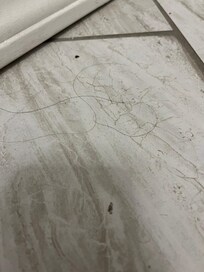 Unclean bathroom floors