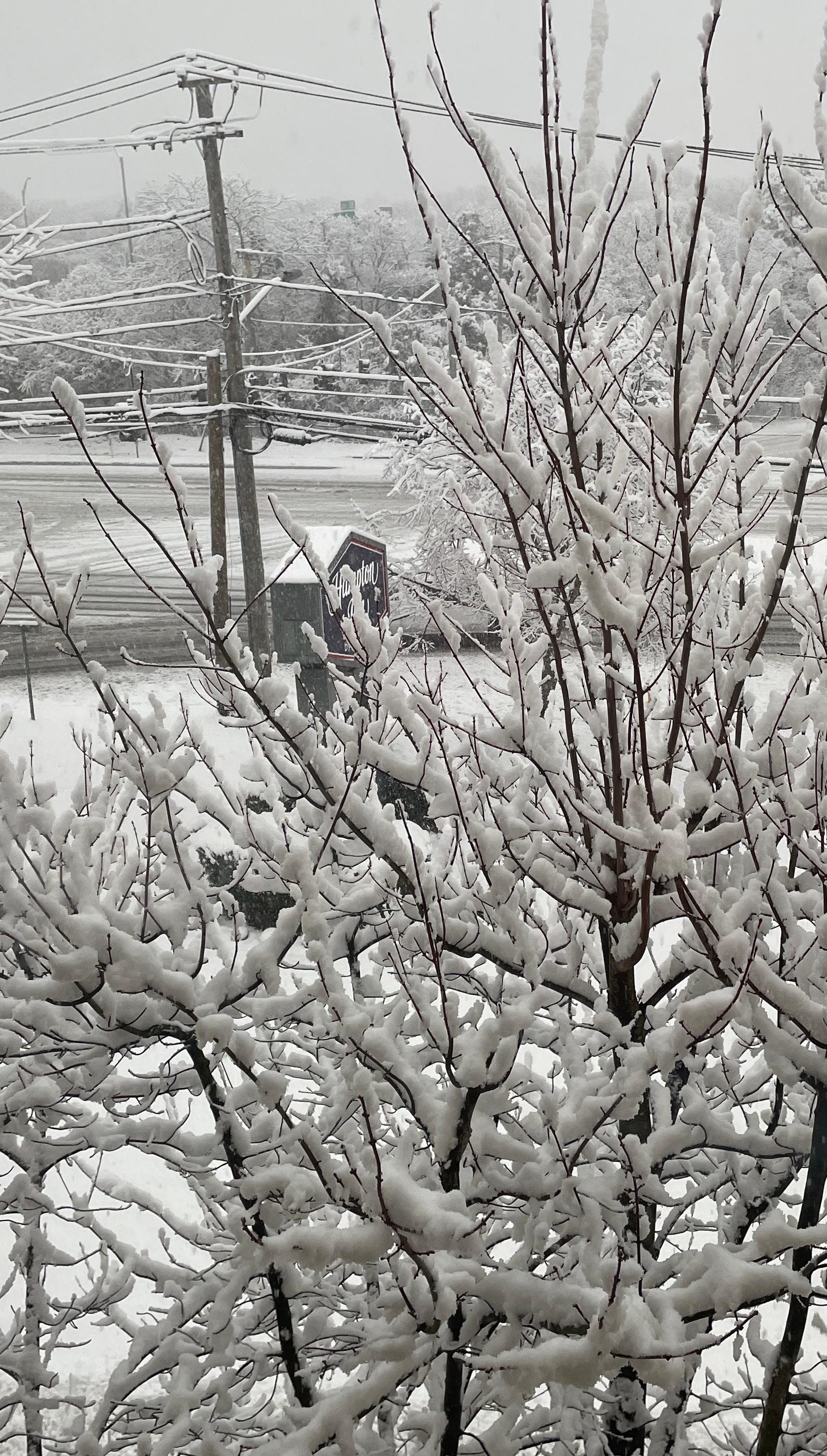 View from window of hotel