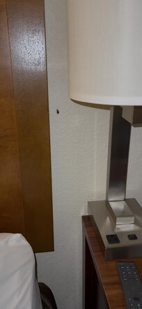 Bug right next to the bed