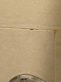 BLACK MOLD AROUND TUB