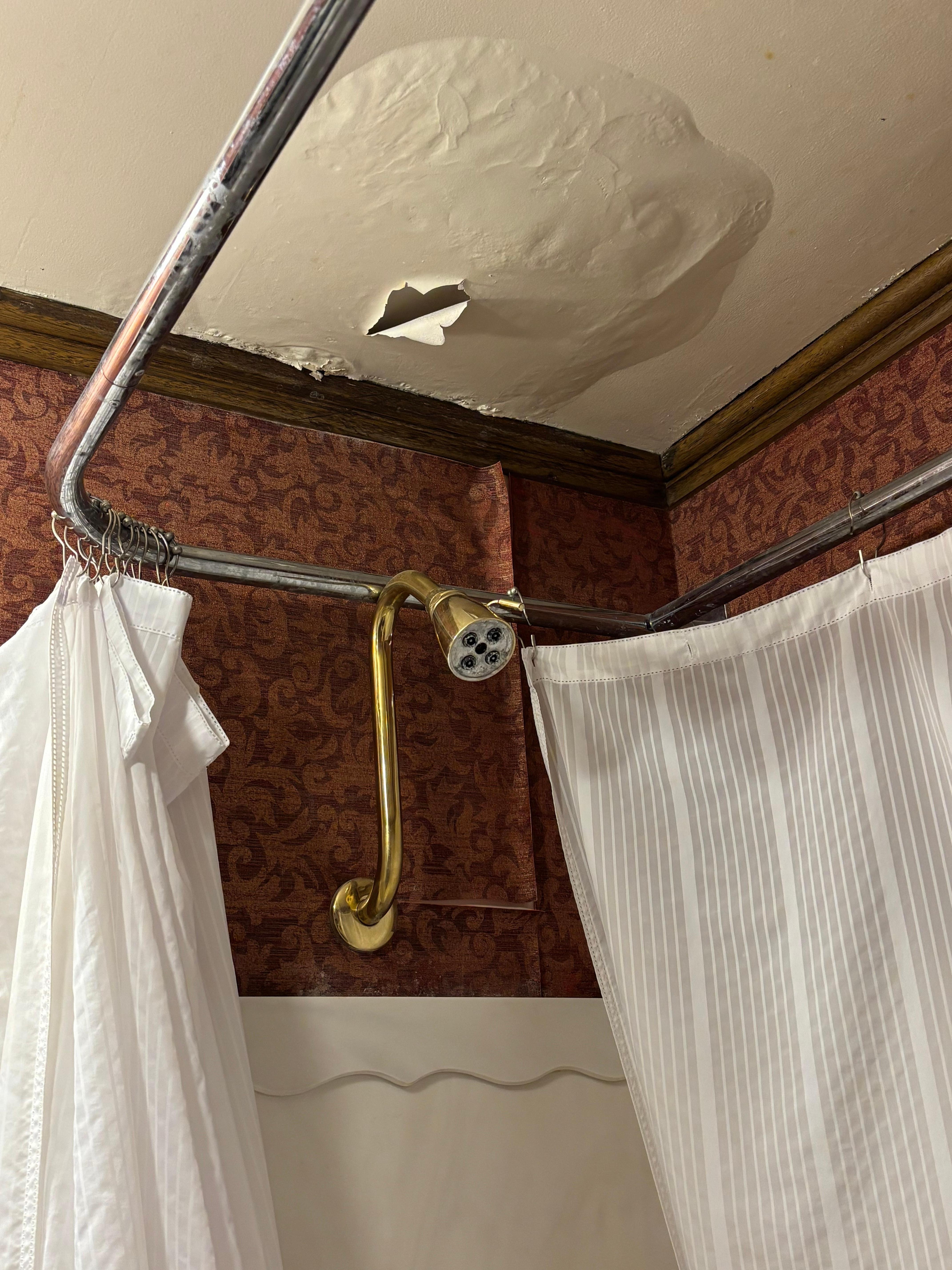 Ceiling water leak