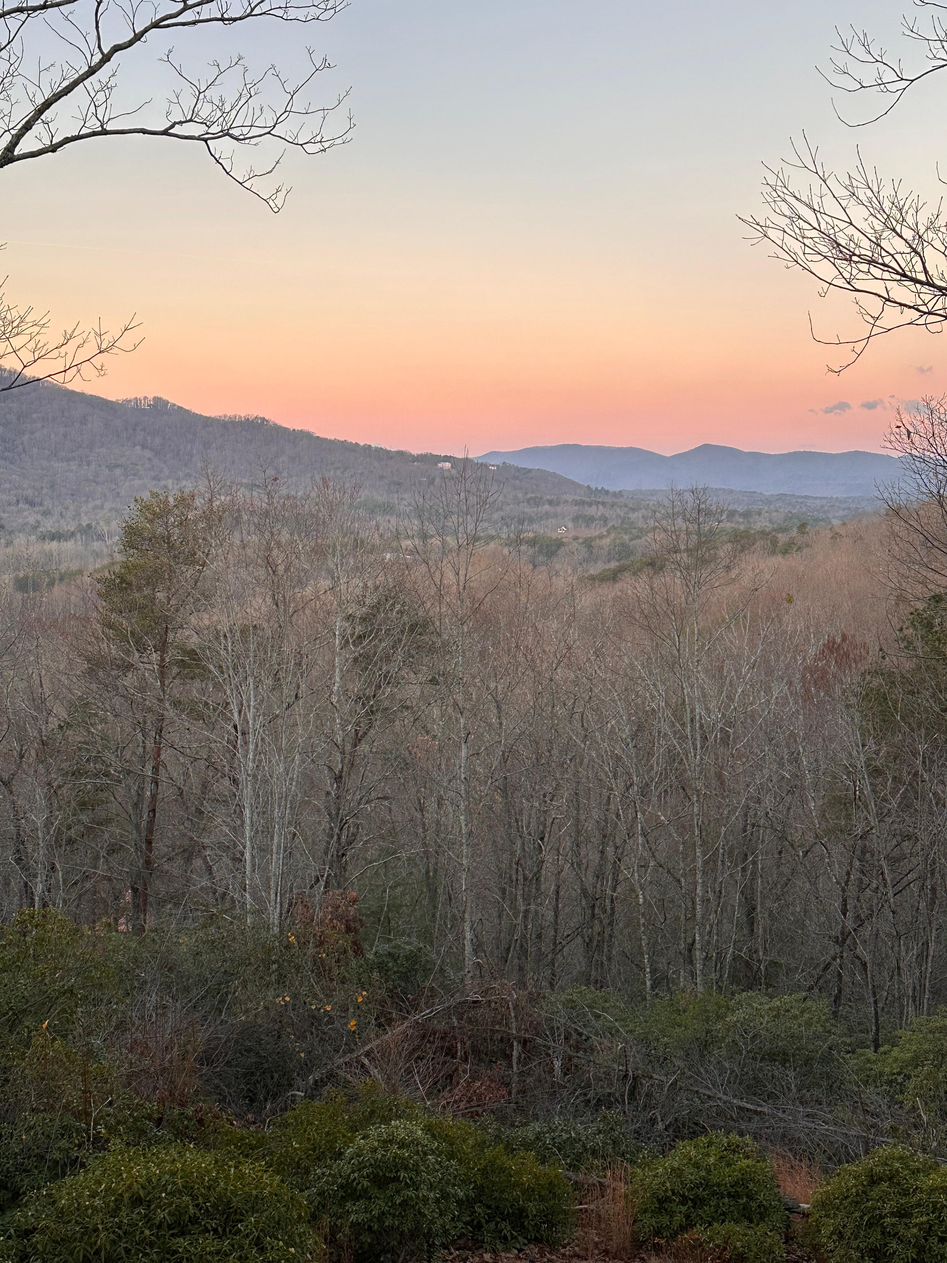 View from the living room