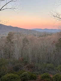 View from the living room
