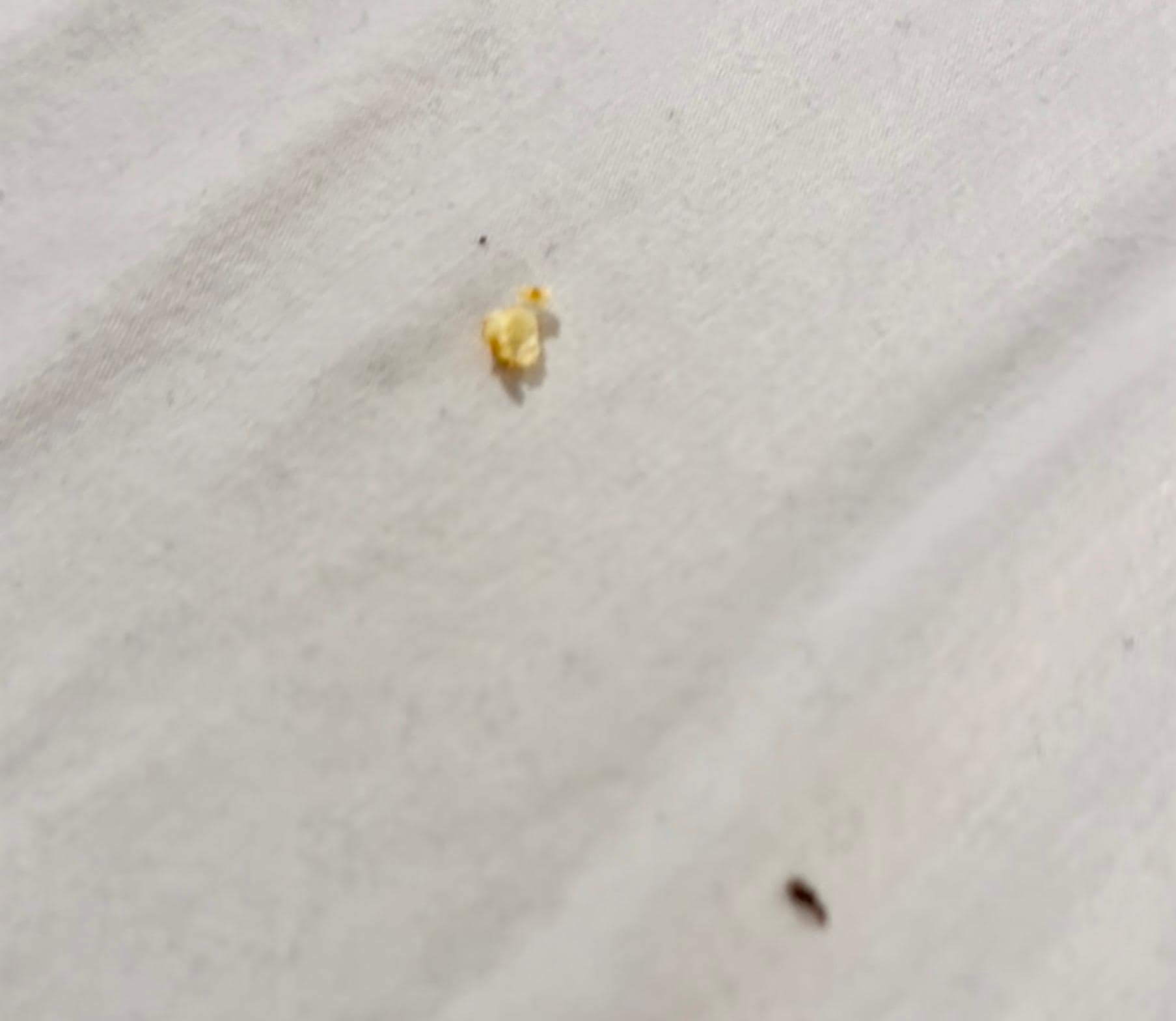 Acceptable conditions by housekeeping