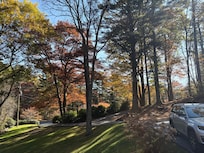 View from the cabin’s cozy front porch.