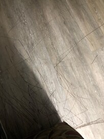 Marker all over floor