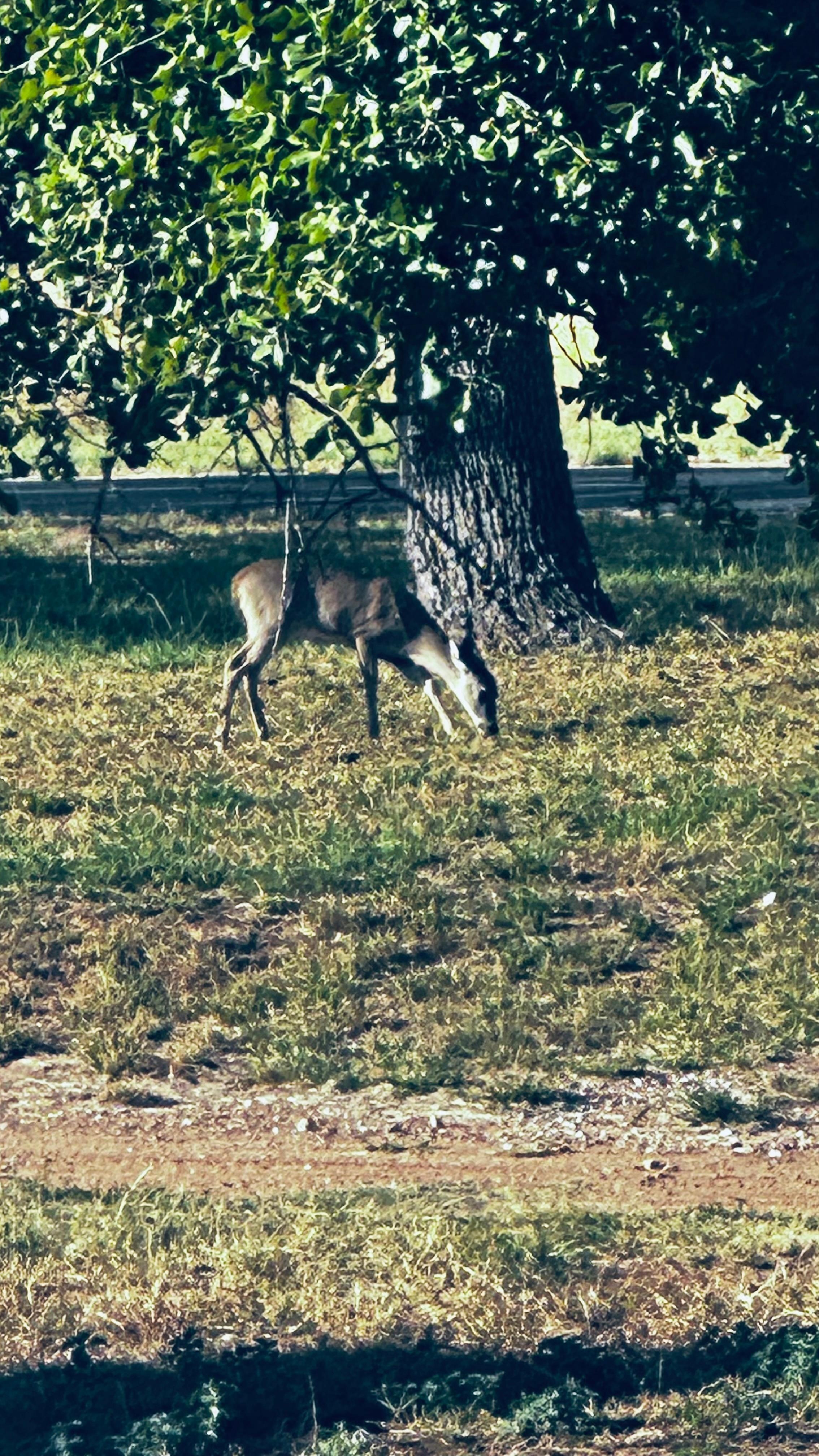 I love nature this place was perfect for my husband and I to reconnect with each other 