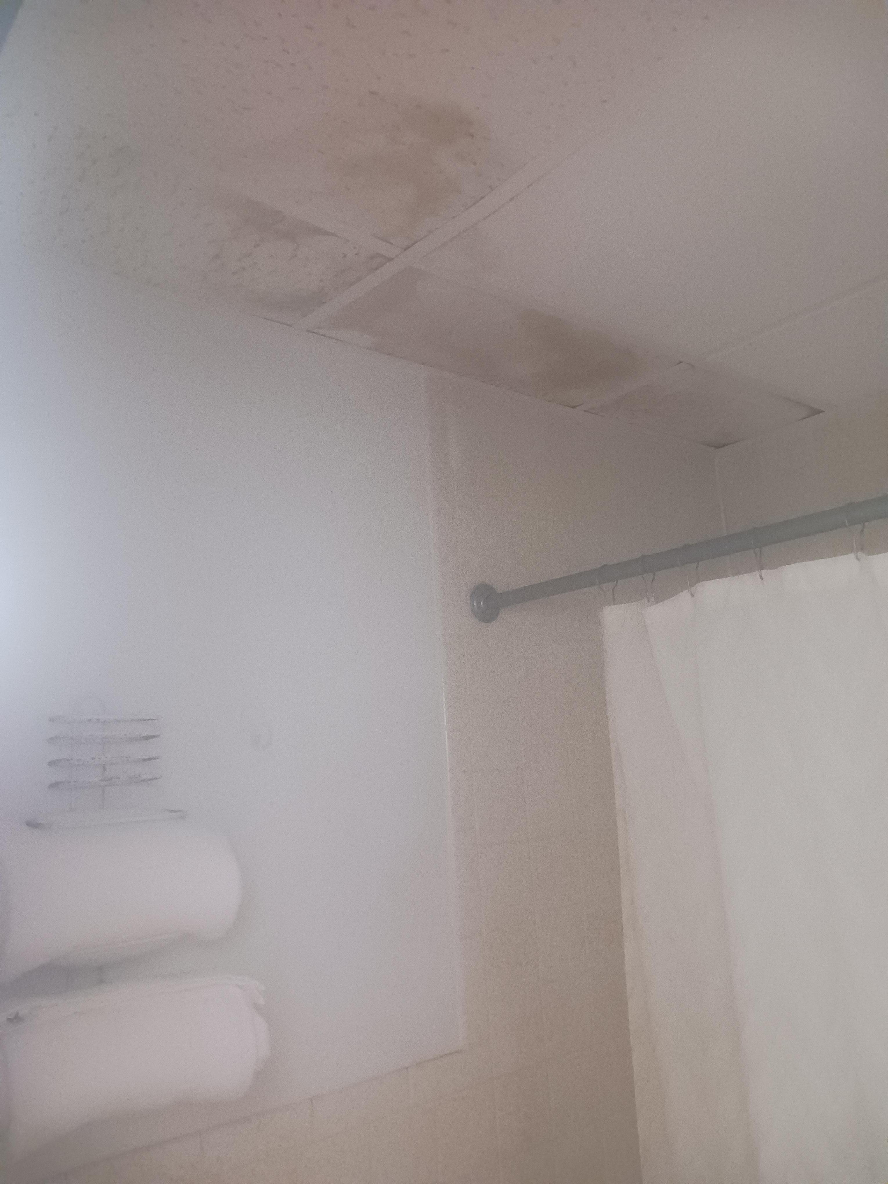 Ceiling tiles buckling,  walls unclean.