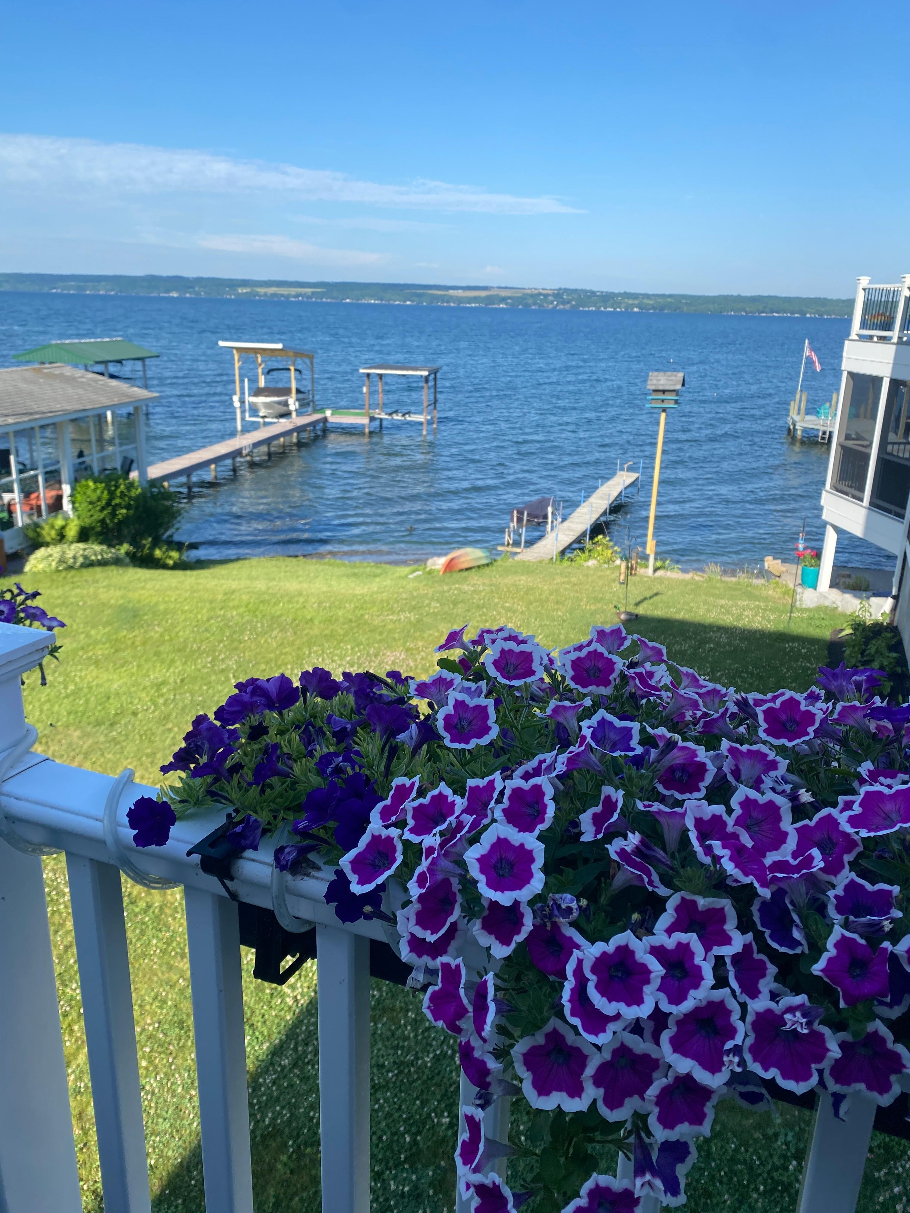Balcony view