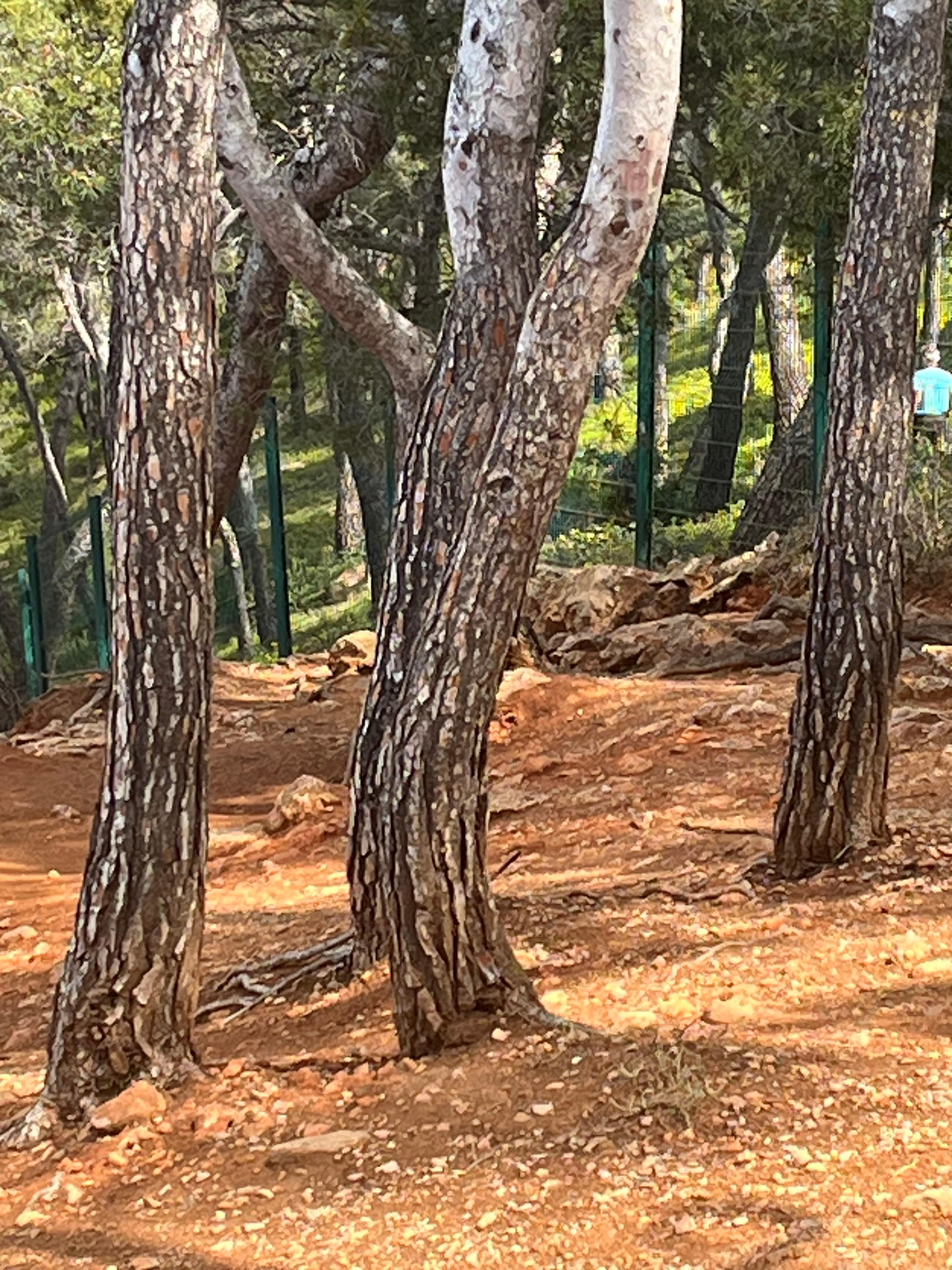 La lumière dorée du sud 