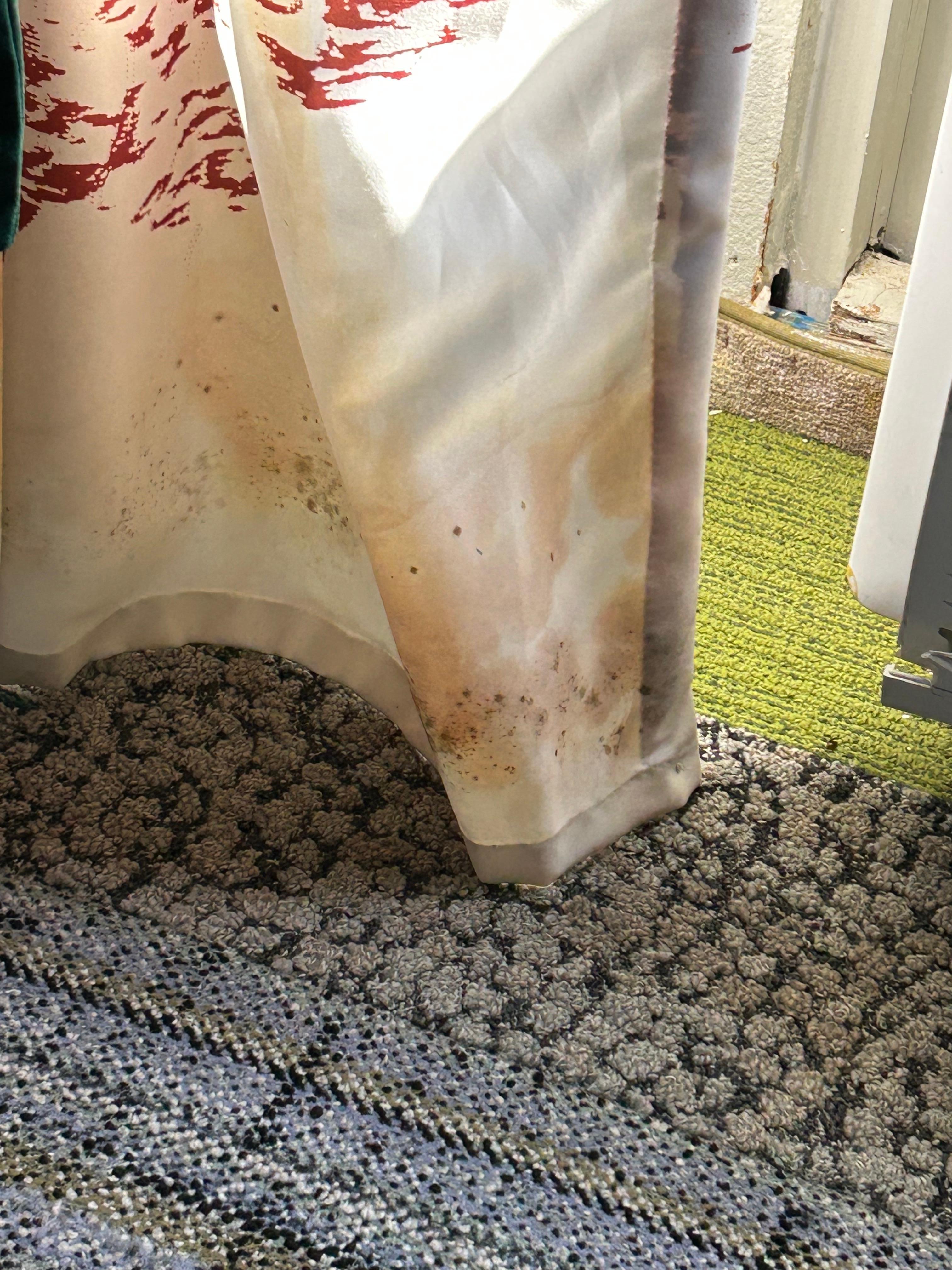 Mold 