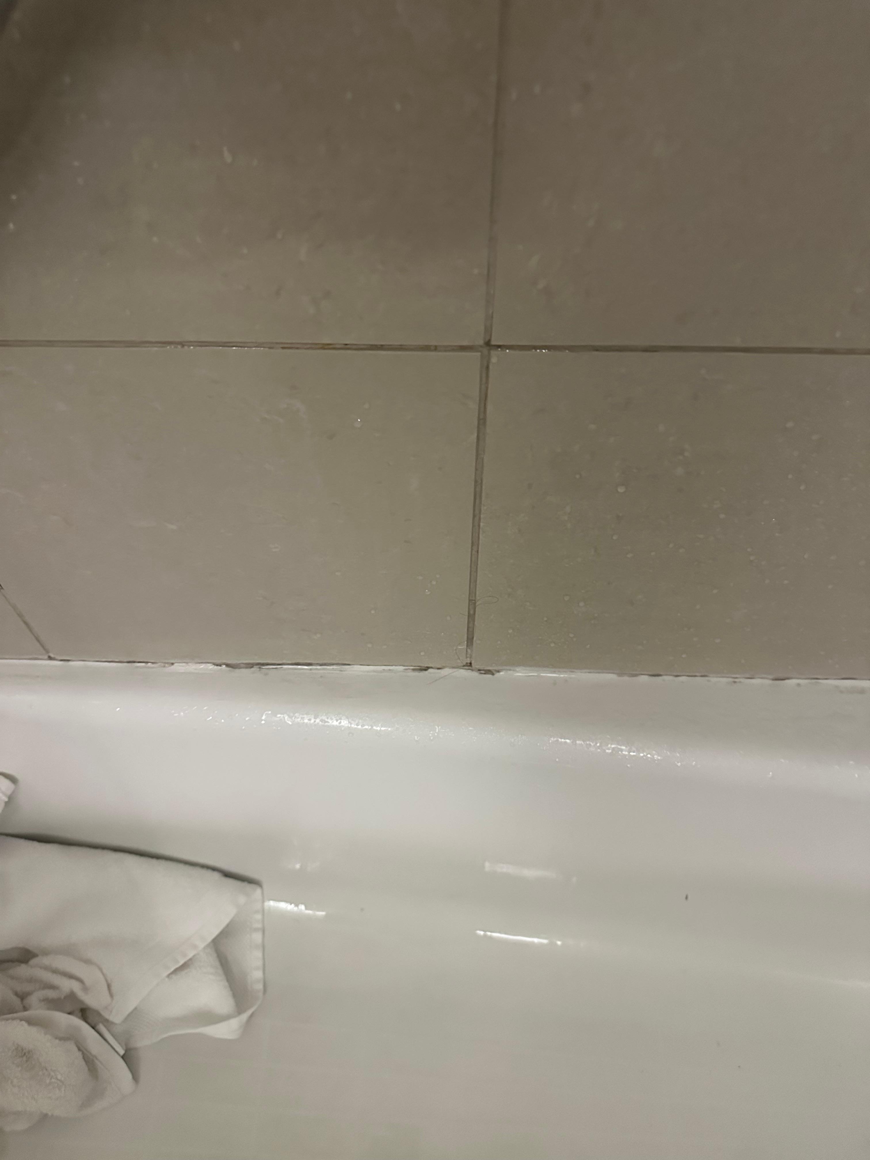 Mildew on the caulking