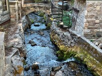 The flowing stream from top bedroom “treehouse” view