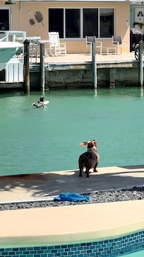 Whole family loved the breeze and canal life!