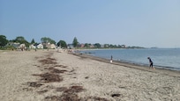 Willard beach near high tide