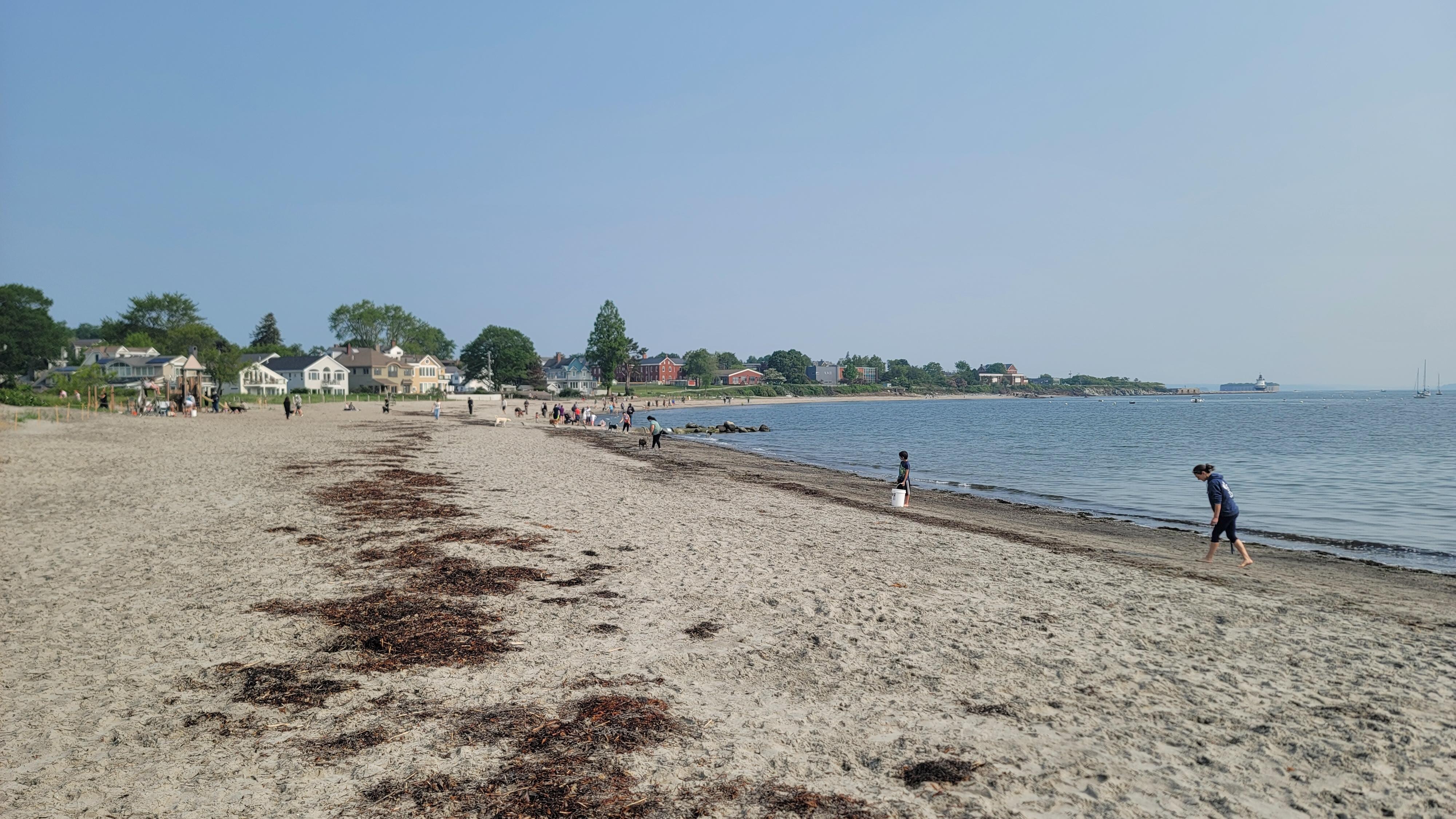 Willard beach near high tide