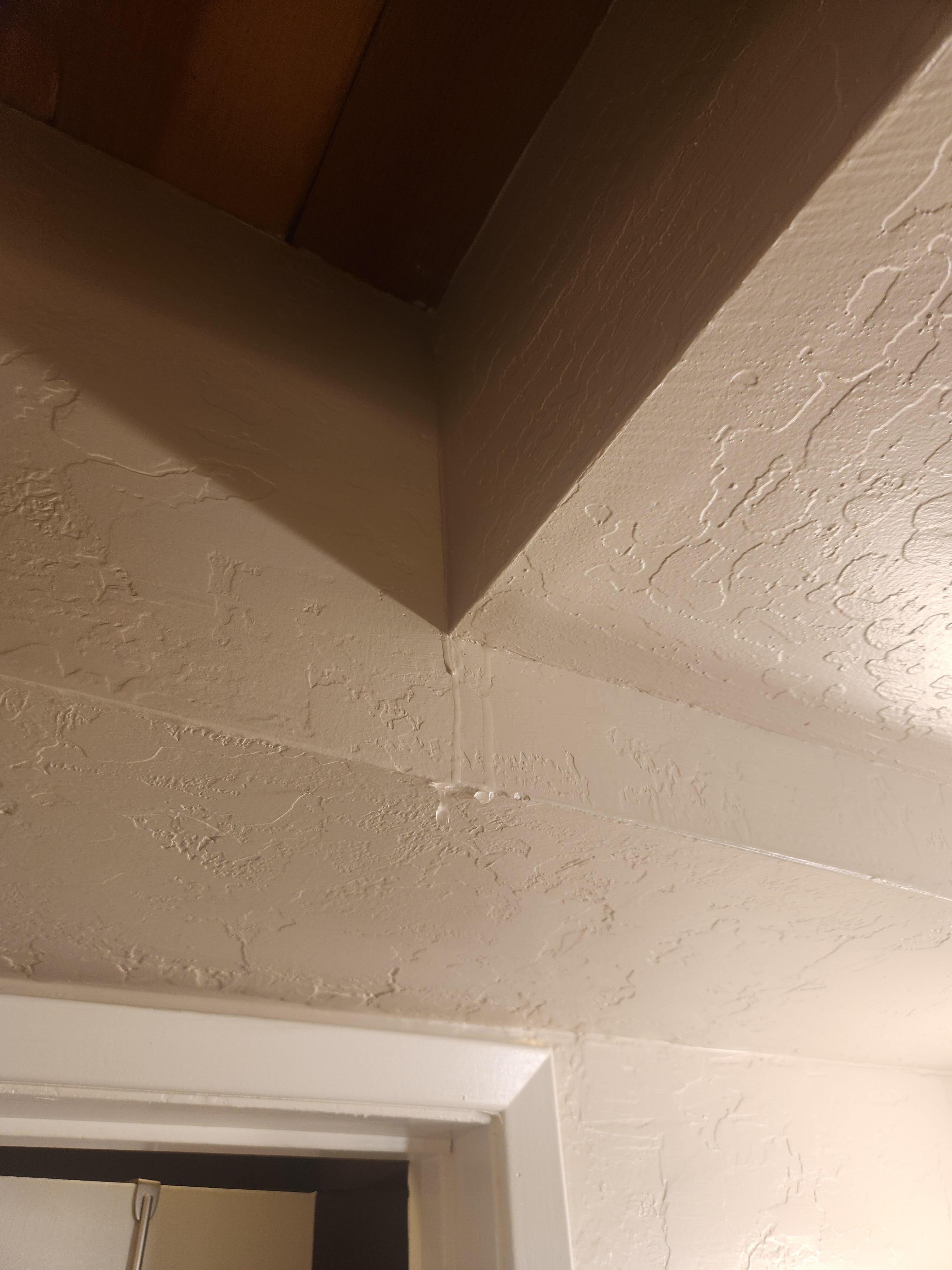 Leaking roof from shower upstairs