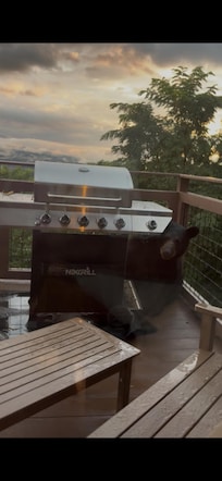 Yep! We grilled burgers and brought the bear!! A real live bear!