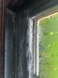 Mouldy window in bedroom