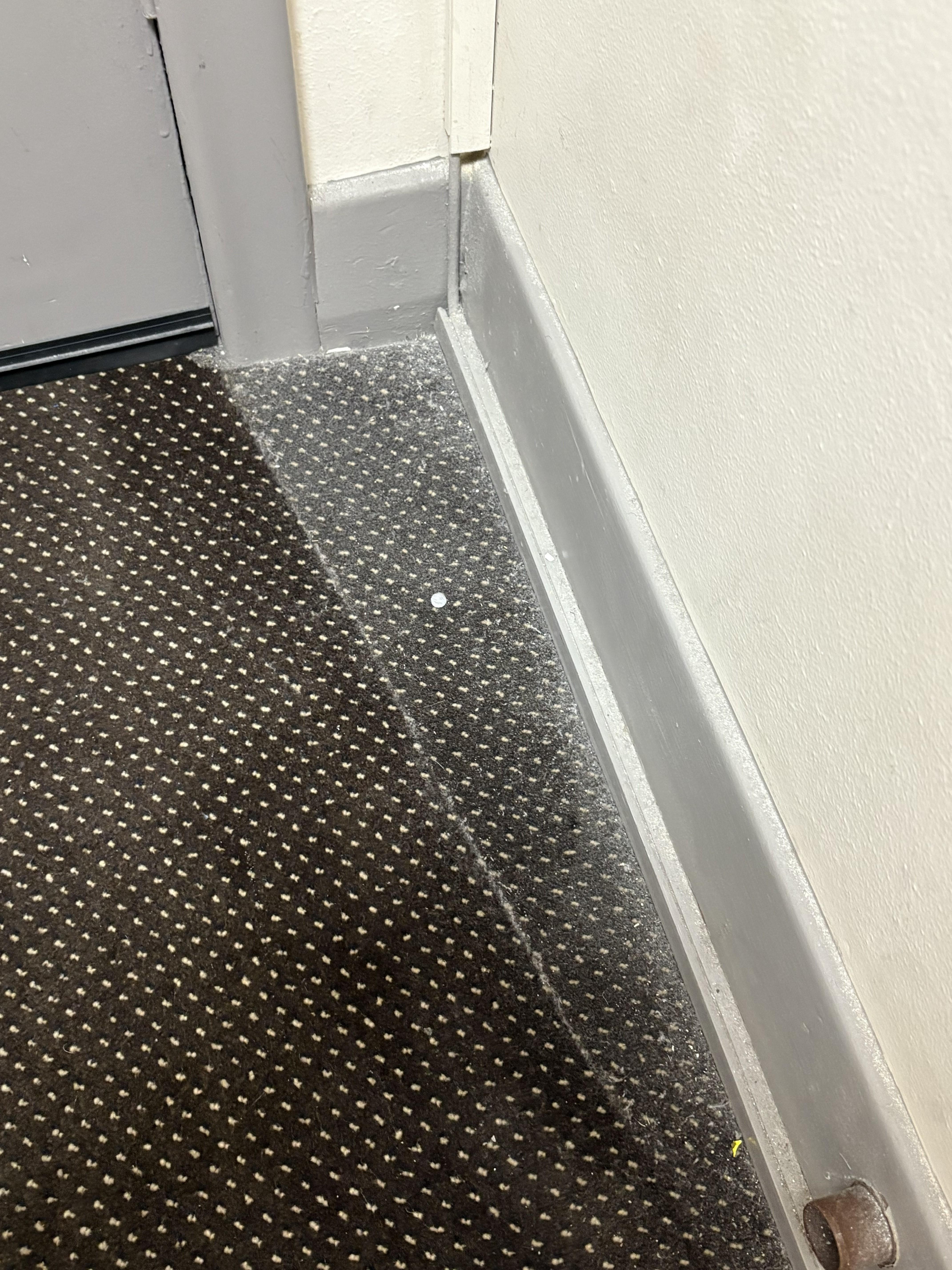 Lost pill behind the front door, clearly never vacuumed