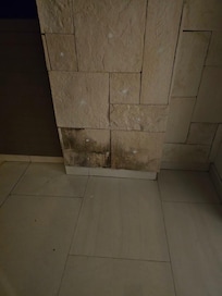 Moldy room