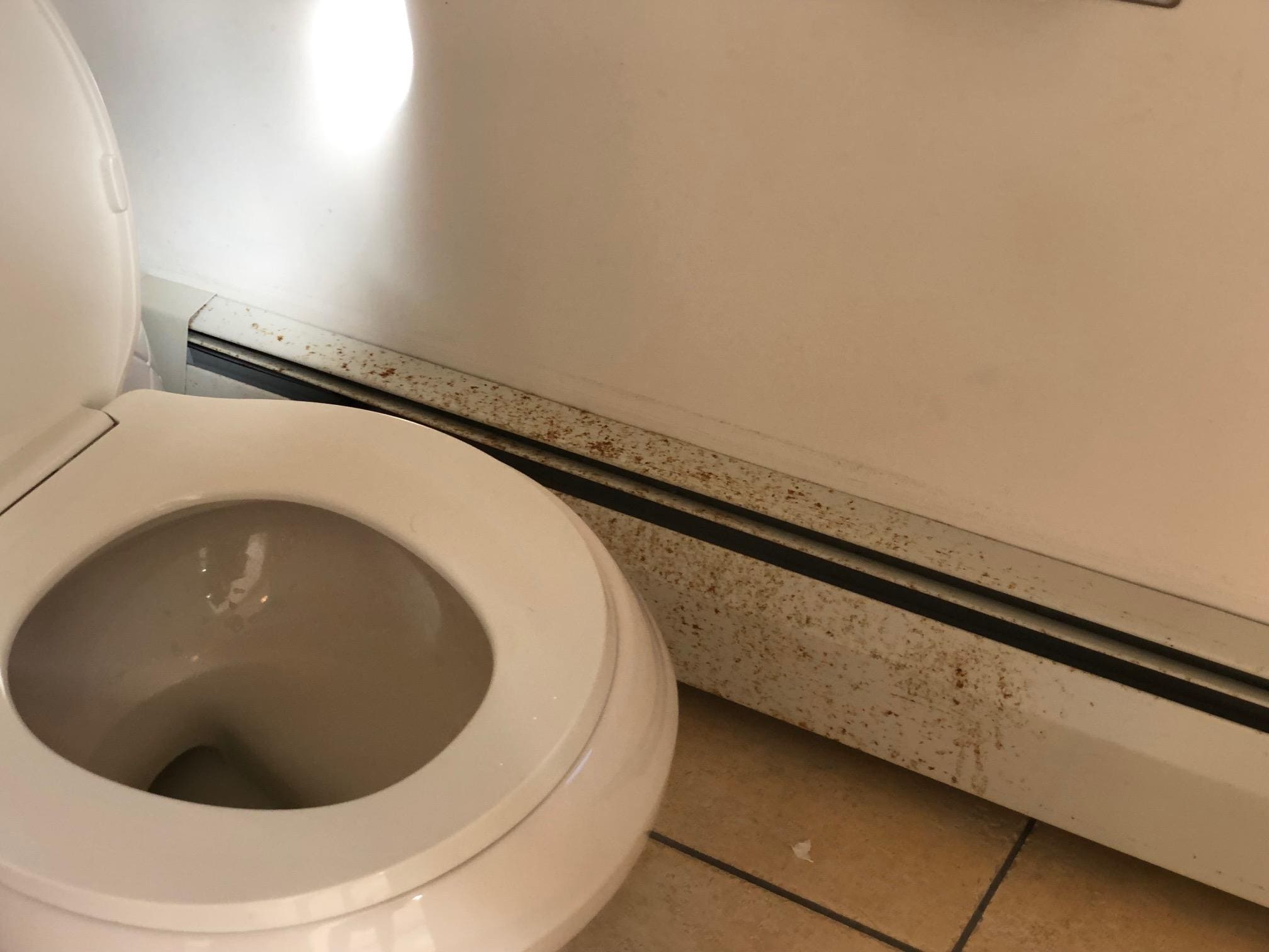 Some kind of splatter near the toilet