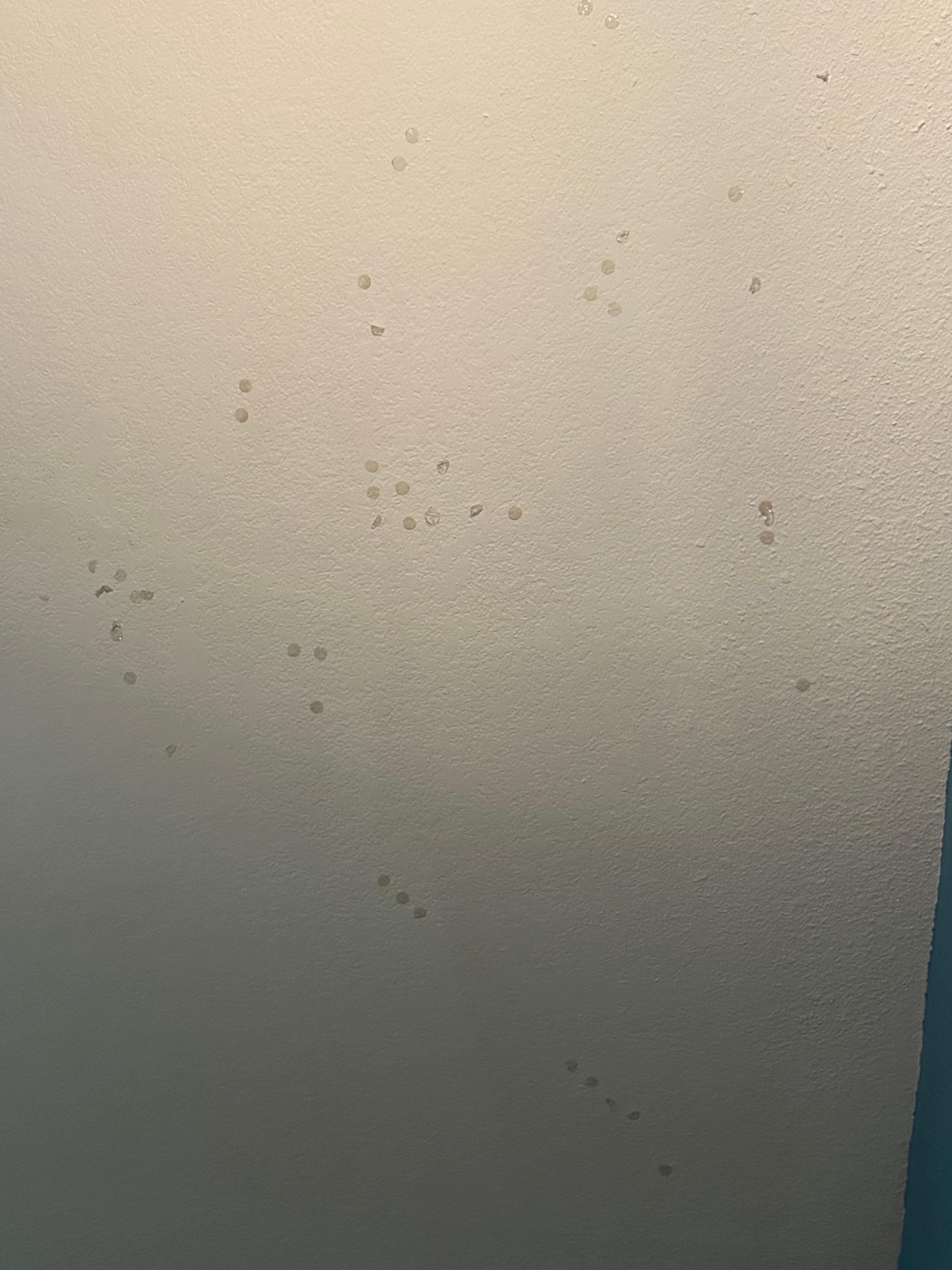Contact lenses all over the ceiling