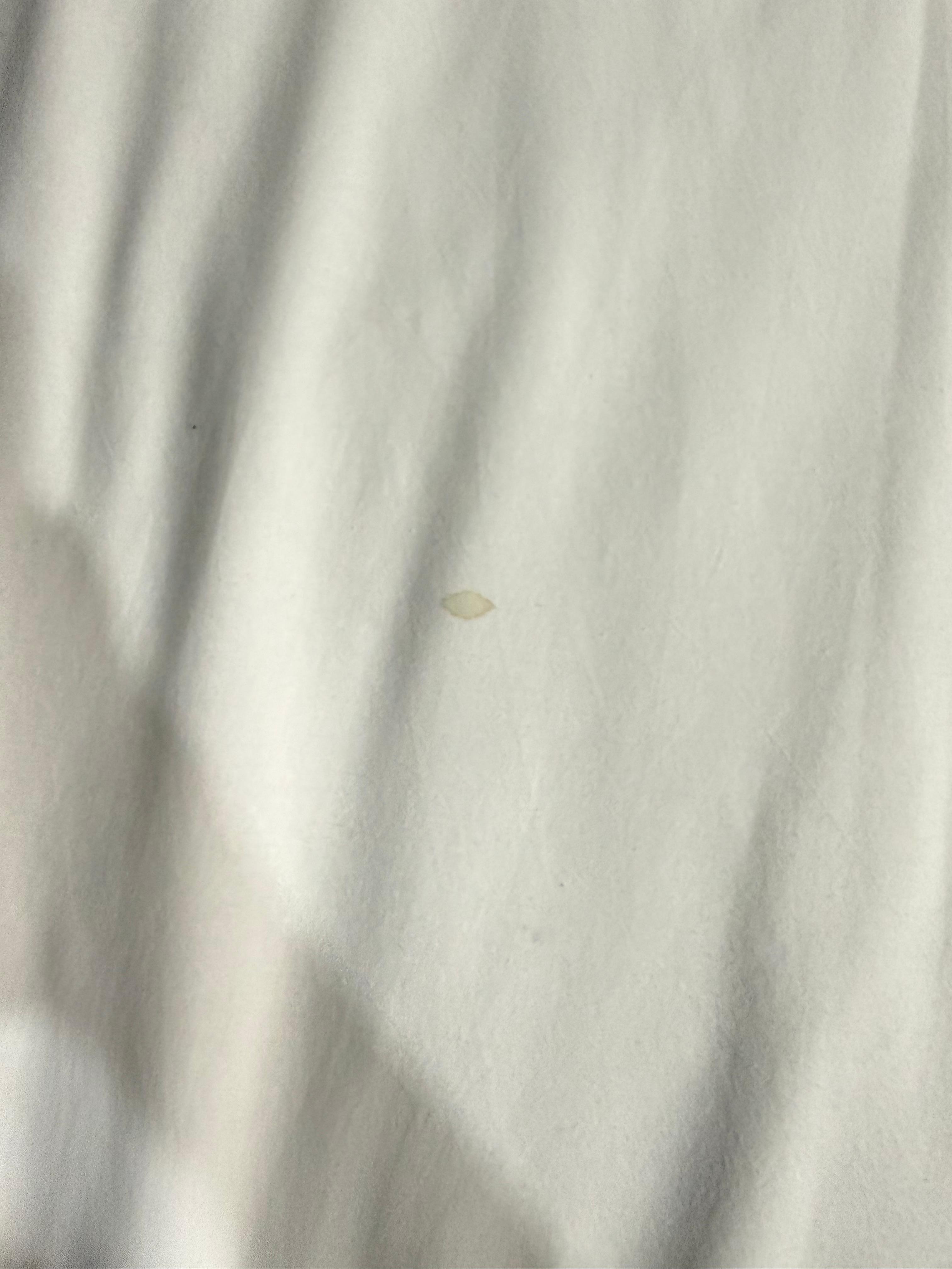 Ants and stains on bed