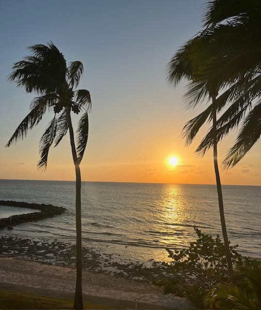Beautiful sunsets