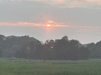 Bird watchers delight