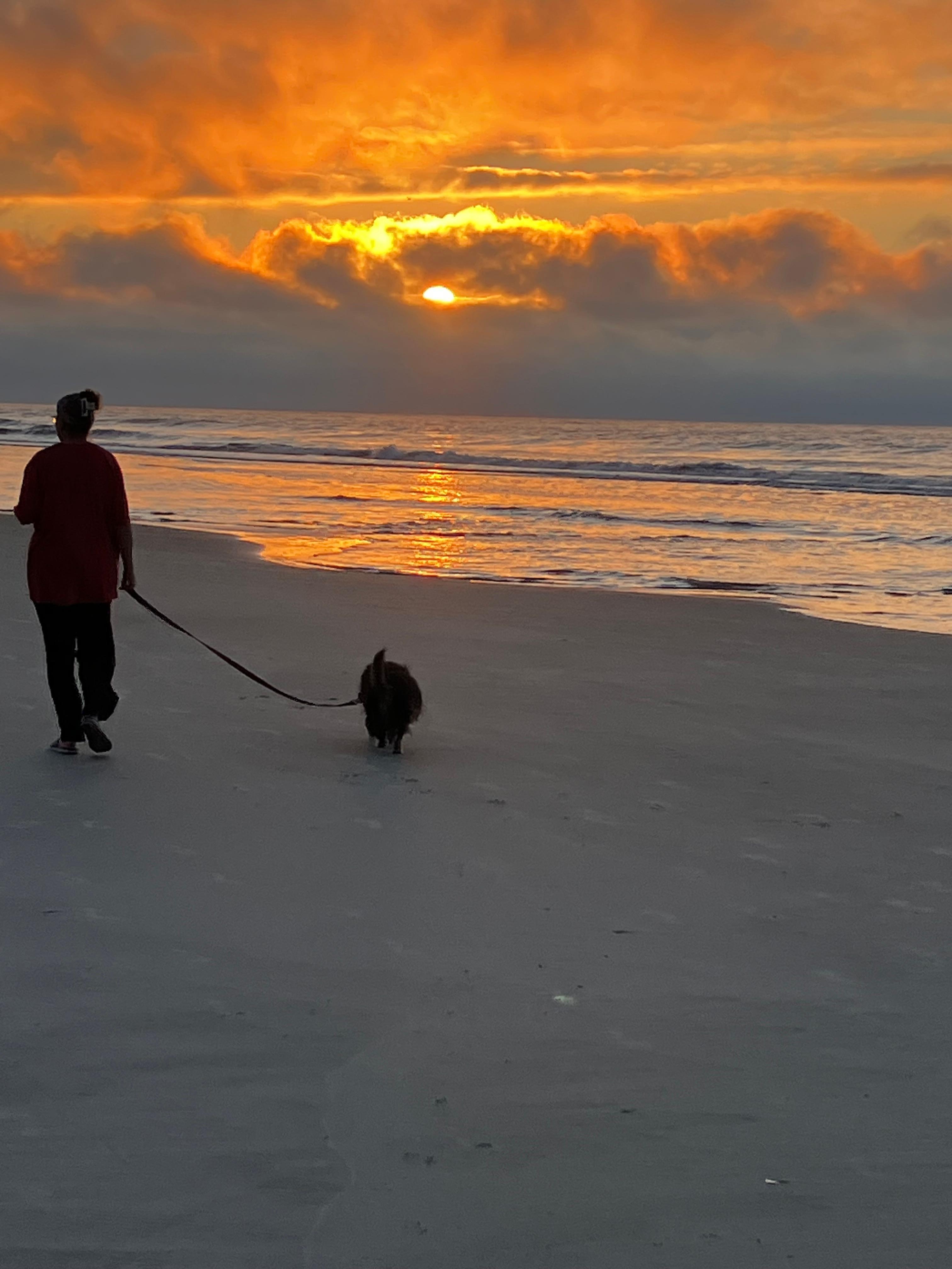 Morning walk with our dog.