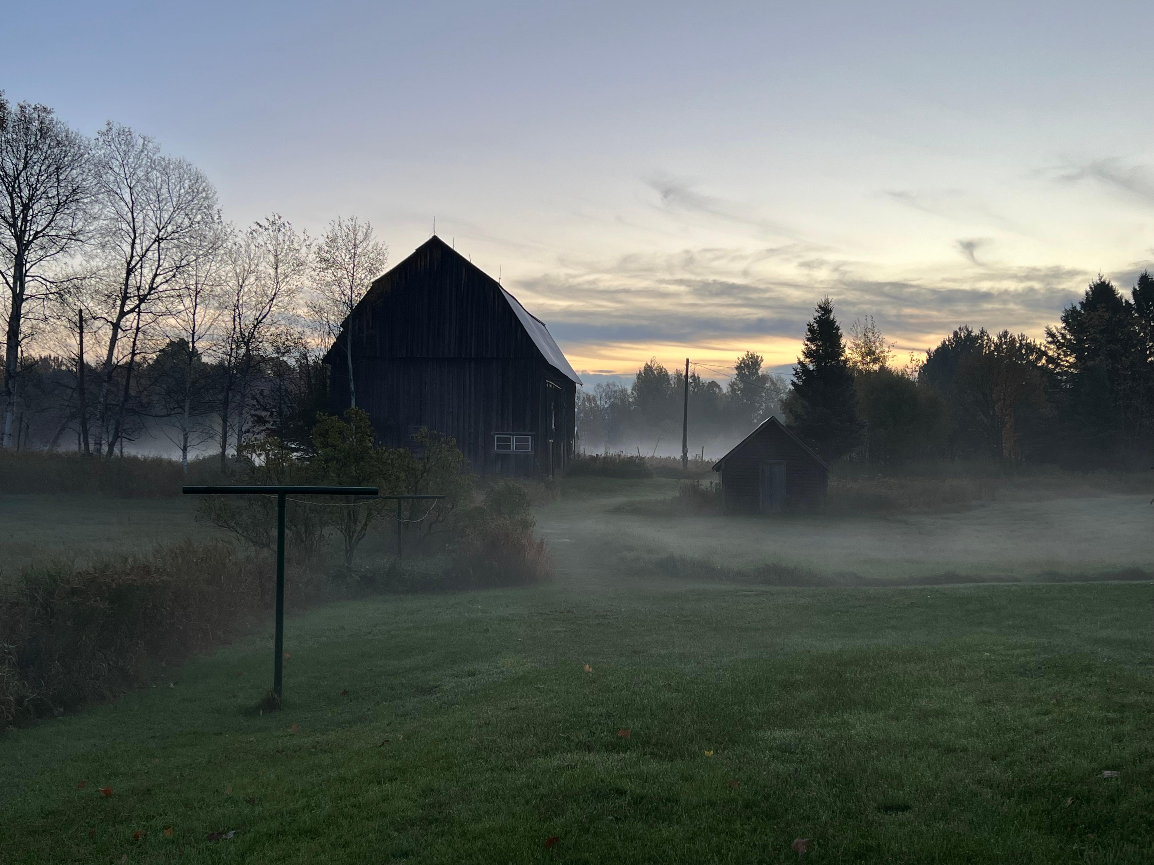 The moody barn and yard at dawn.