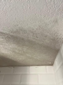 Taches d’humidité au plafond