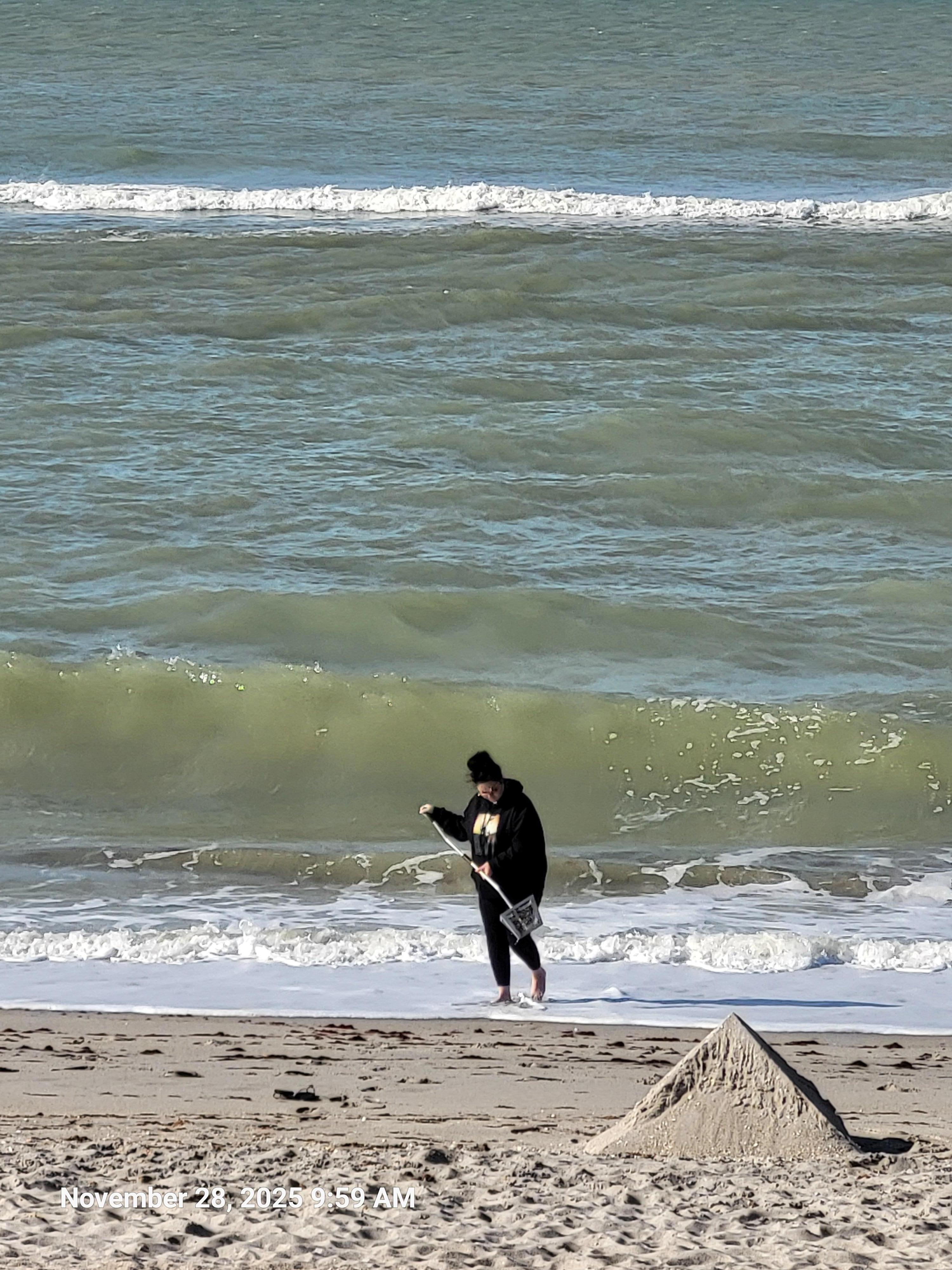 Sea shells and shark teeth digging