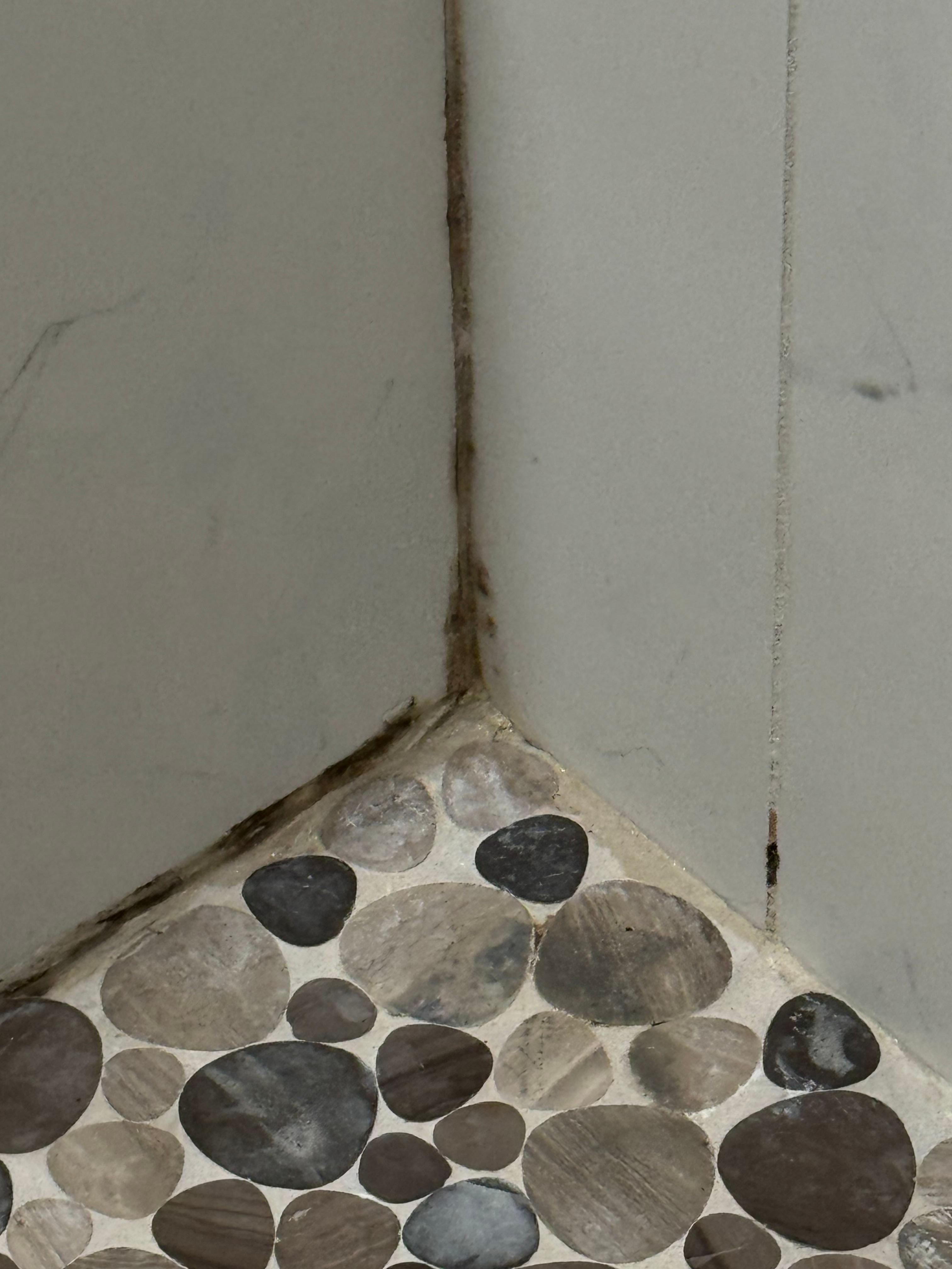 Shower mold. Cheaply done remodel of flooring and shower and no care for waterproofing 