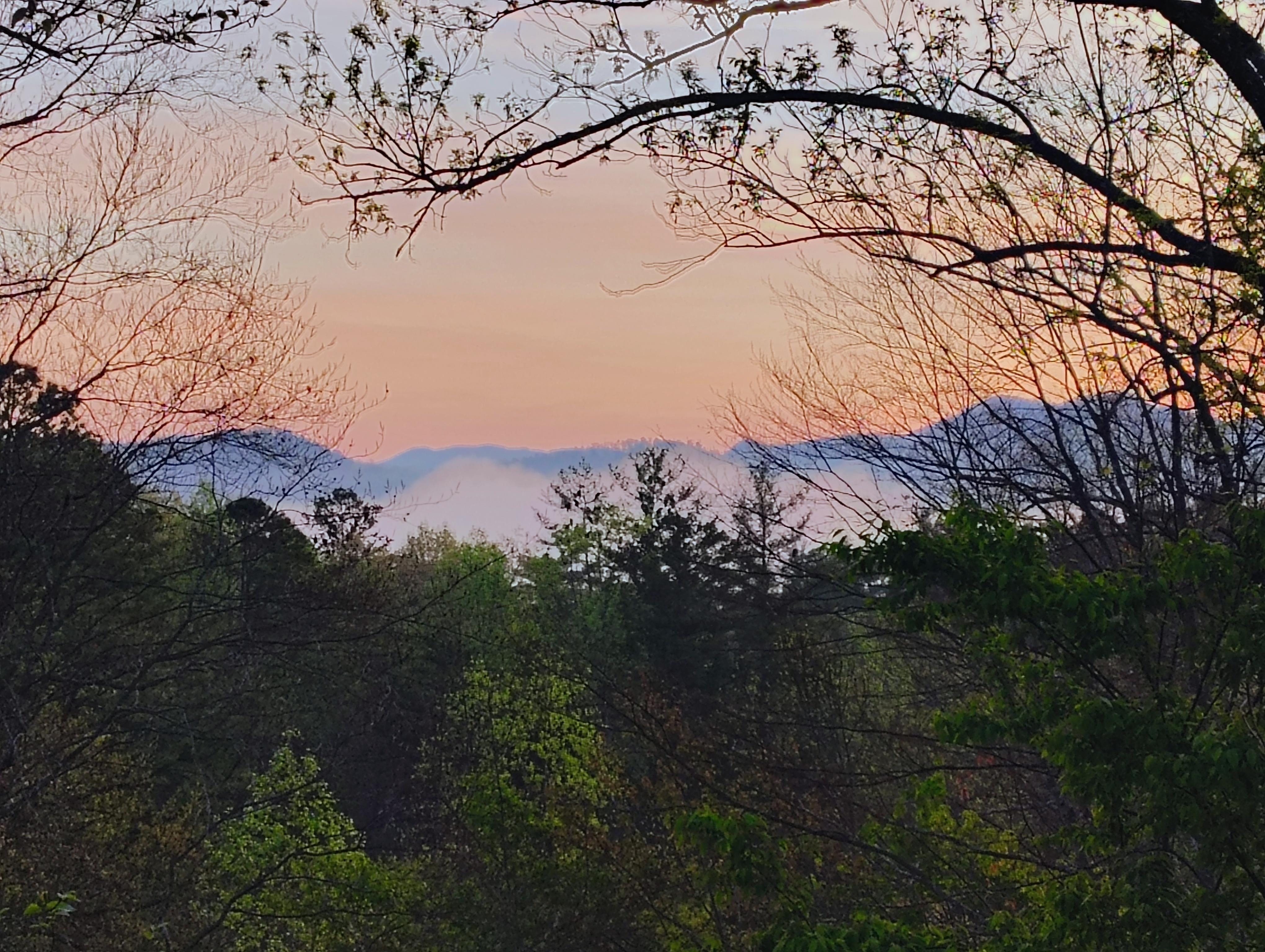 Morning view from back porch 